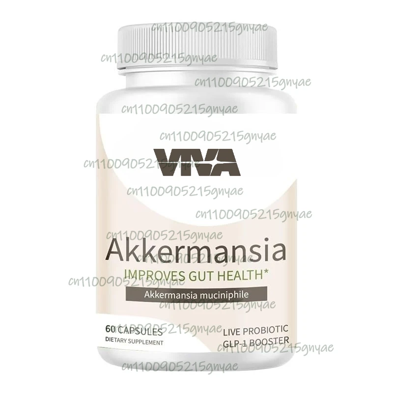 

Vitamin Akkermansia Muciniphola for intestinal health -60 DR capsules (delayed release) - made from prebiotic inulin fiber