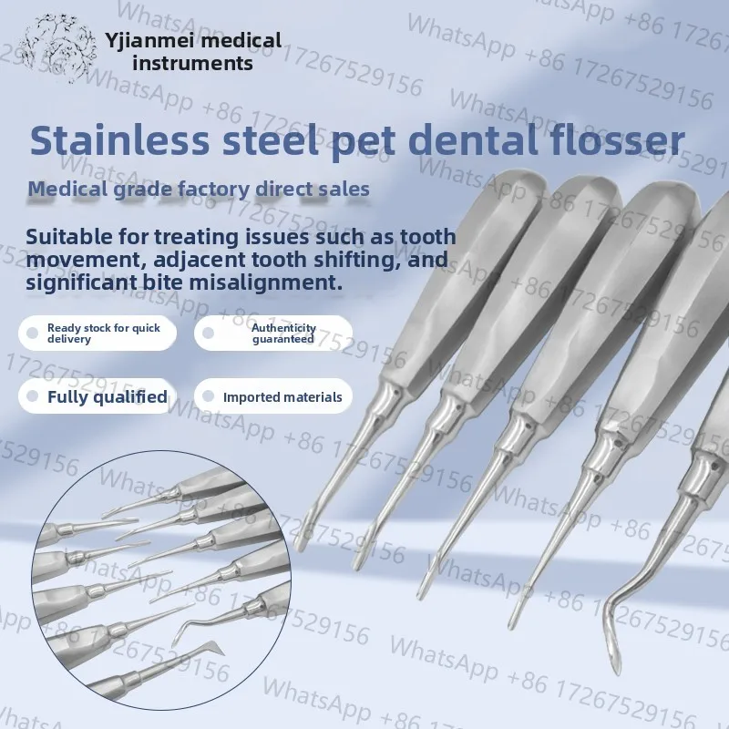 Applicable toPet Cat Dog Dental Extraction Instruments Elevators and Forceps for Clinic 1mm 2mm 3mm 4mm 5mm Straight Curved Tip