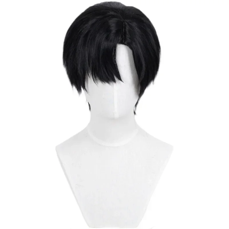Short Black Layered Synthetic Cosplay Wig, Heat Resistant Hair for Anime Character Cos Halloween Costume