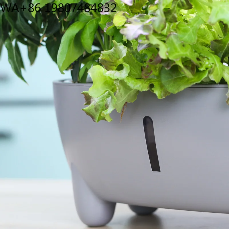 Dual-use Soilless & Soil Cultivation Planter Self Watering Structure Indoor Balcony Herb Vegetable Intelligent Growing Container