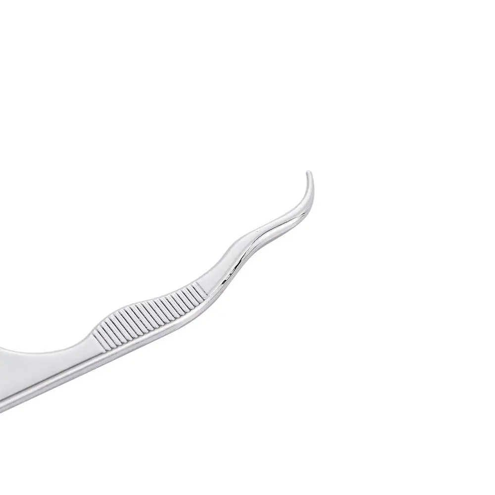 Dust-proof Tooth Cleaning Oral Hygiene Portable Lightweight Stainless Steel Flosser Dental Floss Floss Stick Flossing ​Holder