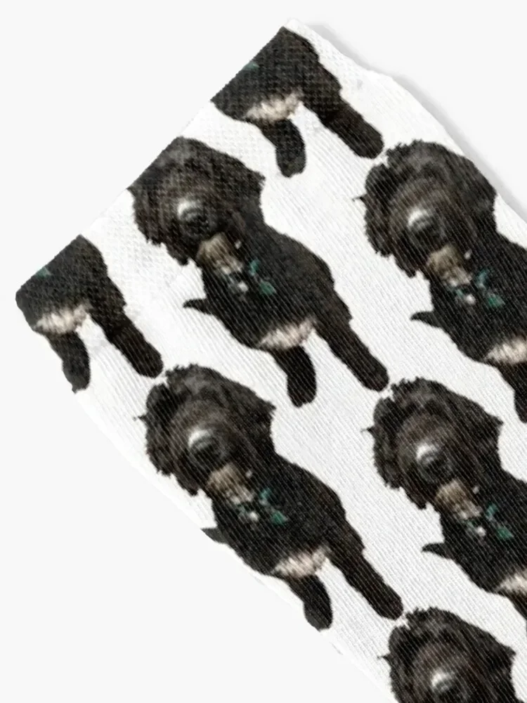 remi the bernedoodle (bernese mountain poodle dog) Socks winter funny sock Mens Socks Women's