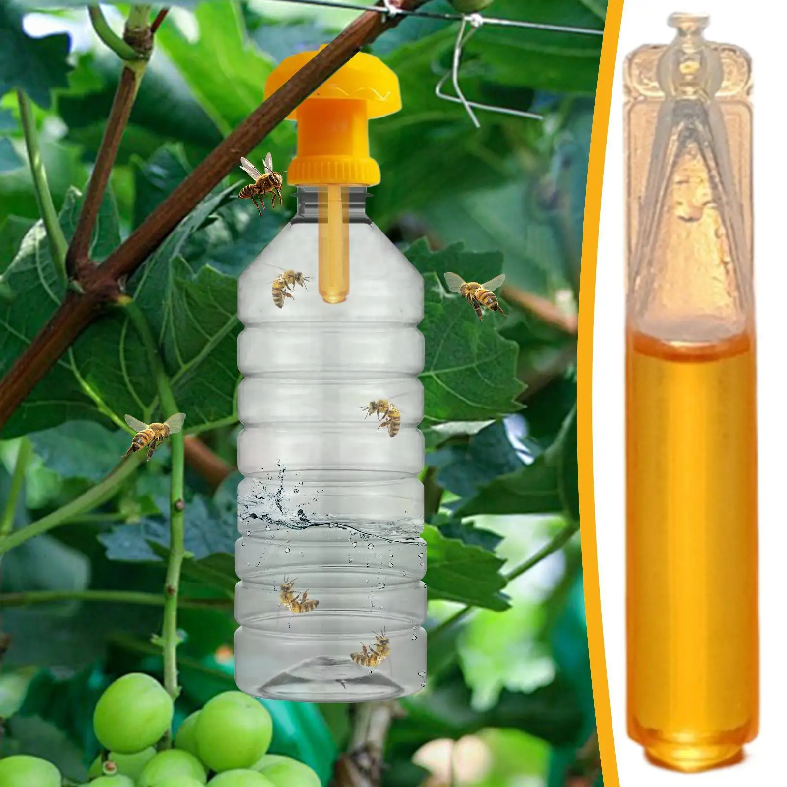 Fruitfly Trap Fruit Fly Refill Liquid 10 Pieces Long Lasting Baits Safe Lures For Garden Farm Patio Protection Dining Area