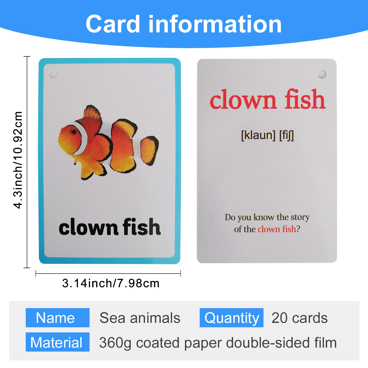 20Pcs Sea Animals Theme English Flashcards for Kids Baby Vocabulary Educational Cards Learning Toys Teaching Aids