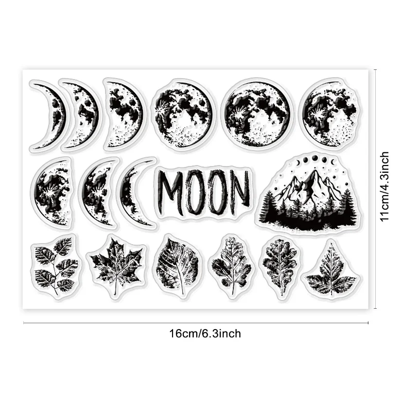2024 New Moon Trans…
