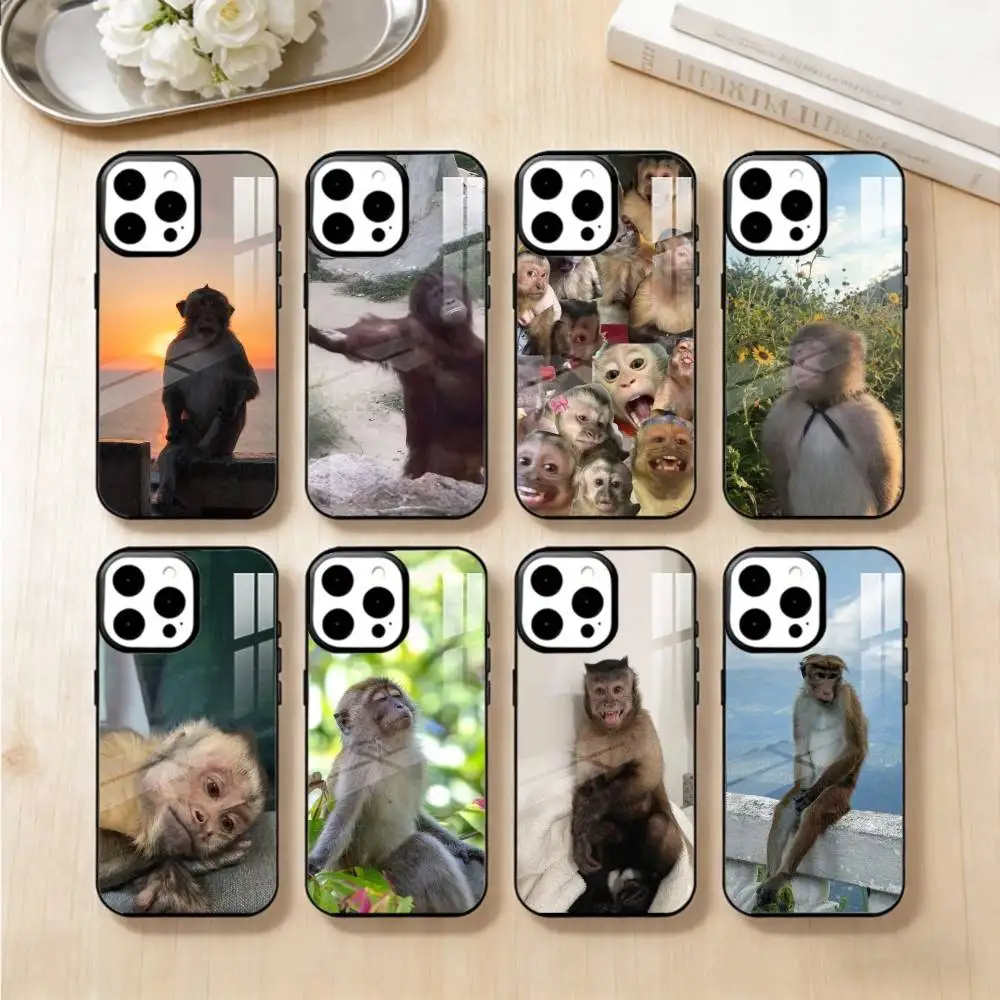 

Милый забавный чехол для телефона с изображением обезьяны для iPhone 14,16,15,13,17,12,Plus,Pro,Max, магнитный, для Magsafe, матовый чехол