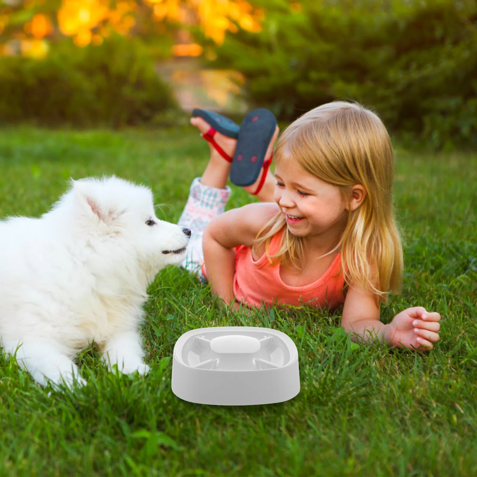 

Миска-разделитель для кормления кошек, медленная кормушка, большая емкость, пластиковая миска для корма для котят и маленьких собак, с несколькими отсеками