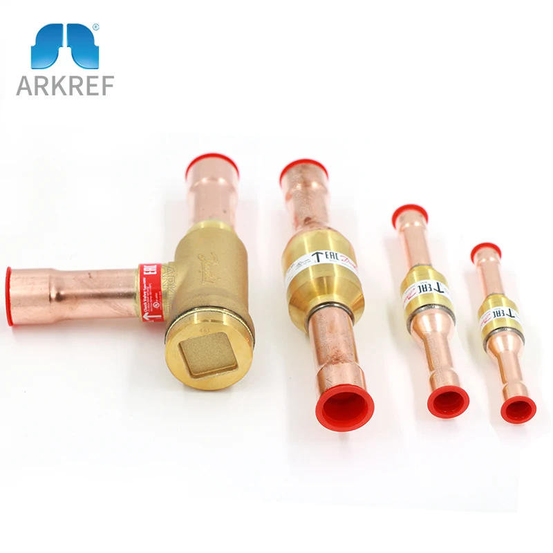 

020-1021 Industrial Freezer Cold Room Spare Parts NRV28S Check Valve