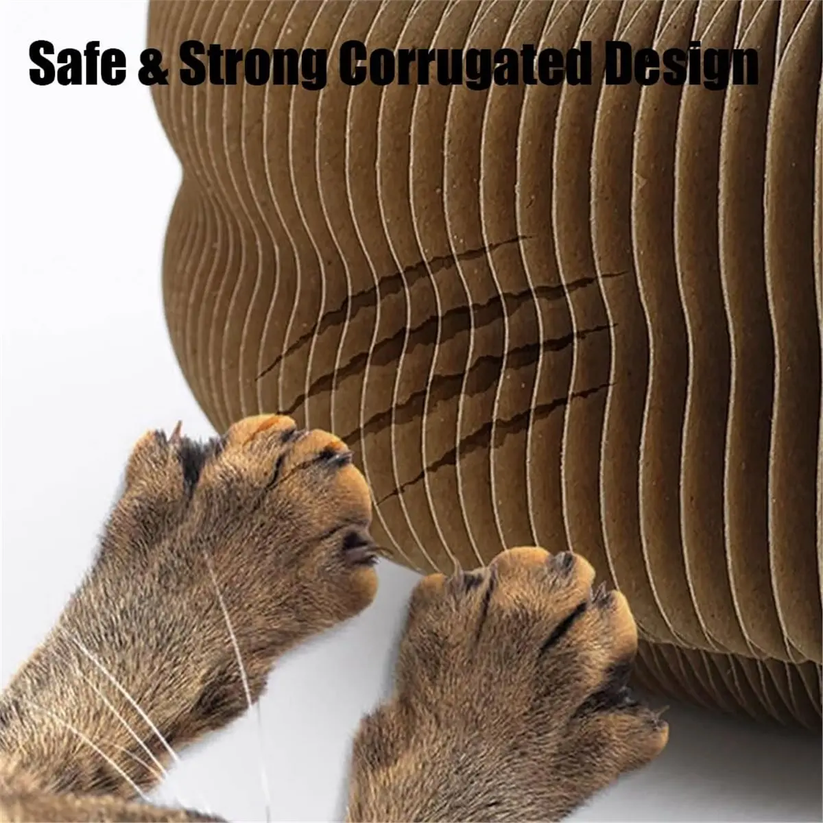 Nuovo Gatto Graffio Organo Bordo Giocattolo Per Gatti Con Palla Gatto Molatura Artiglio Gatto Struttura Da Arrampicata Gattino Rotondo Giocattolo Da Grattare Per Gatti