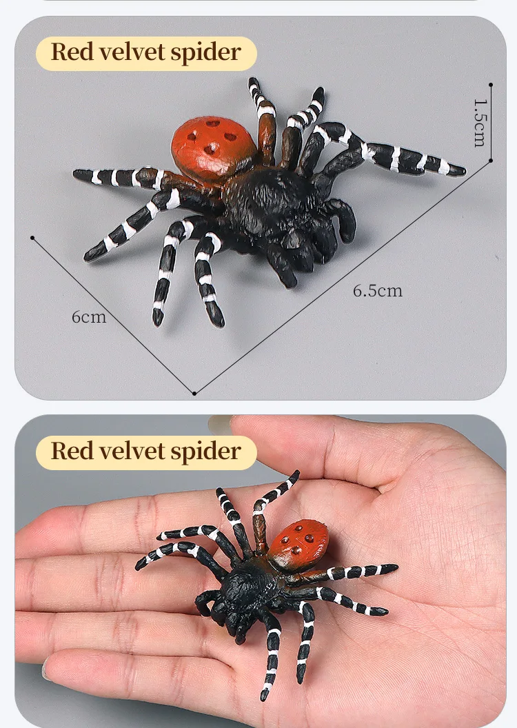 Pädagogische Insekten Spinne Spielzeug Zoo Action Figur Set Tier Welt Wissenschaft Kognitive Lernen Modell Simulation Dekor für Kinder – Detail 11