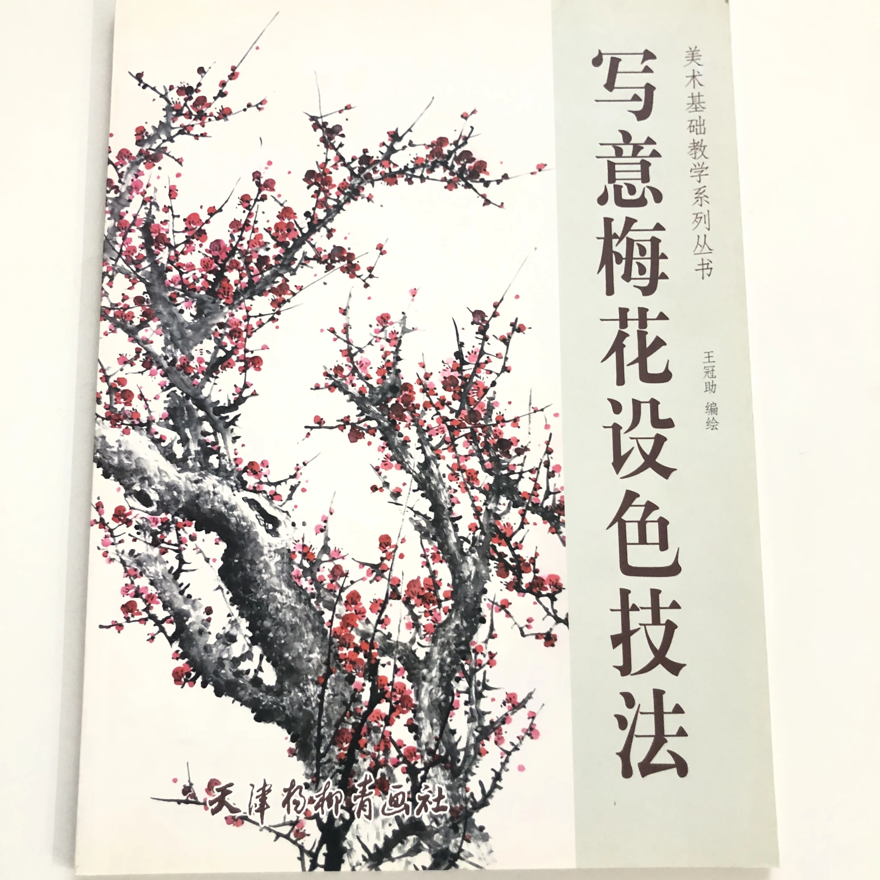 

Plum Blossom Coloring Methods: Xieyi Style Ink Wash & Pigment Blending Tutorial