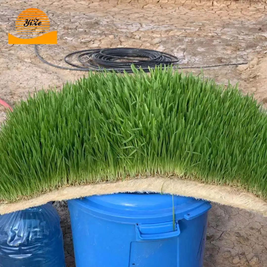 Fodder System Animal Hydroponic Fodder Machine voor groene voermachine