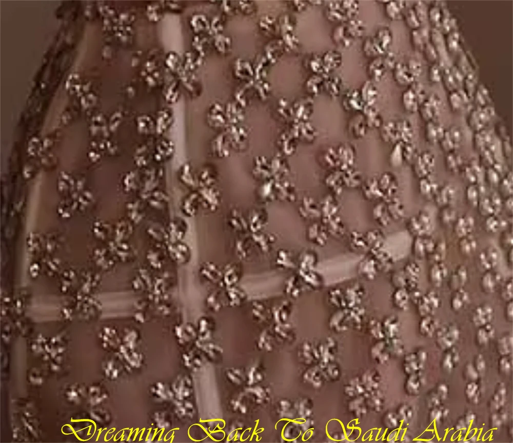 تخصيص بسيط البيج اورجانزا مساء اللباس الرسمي الحبيب أكمام فساتين المشاهير مثير البسيطة طول كريستال فساتين حفلة موسيقية #6