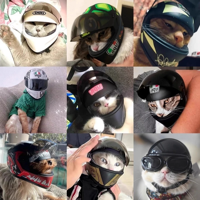 Pet Cat Motorcycle Helmet Full Face Motorcycle Helmet Outdoor Motorcycle Bike Riding Helmet For Mini Helmet Pet Supplies