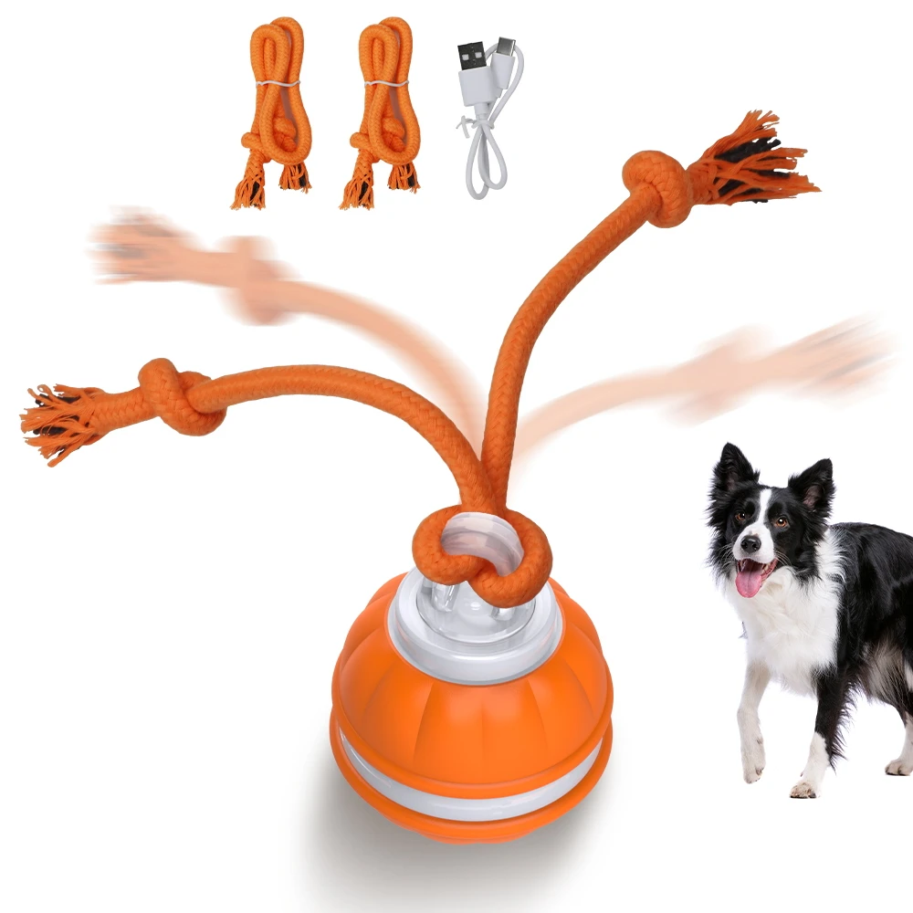Interactive Dog Toy Ball 1