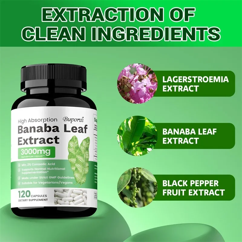 مستخلص أوراق الموز 3000 مجم - يعزز امتصاص المغذيات، ويحكم في مستويات السكر في الدم، والتمثيل الغذائي، ويدعم الصحة العامة #3