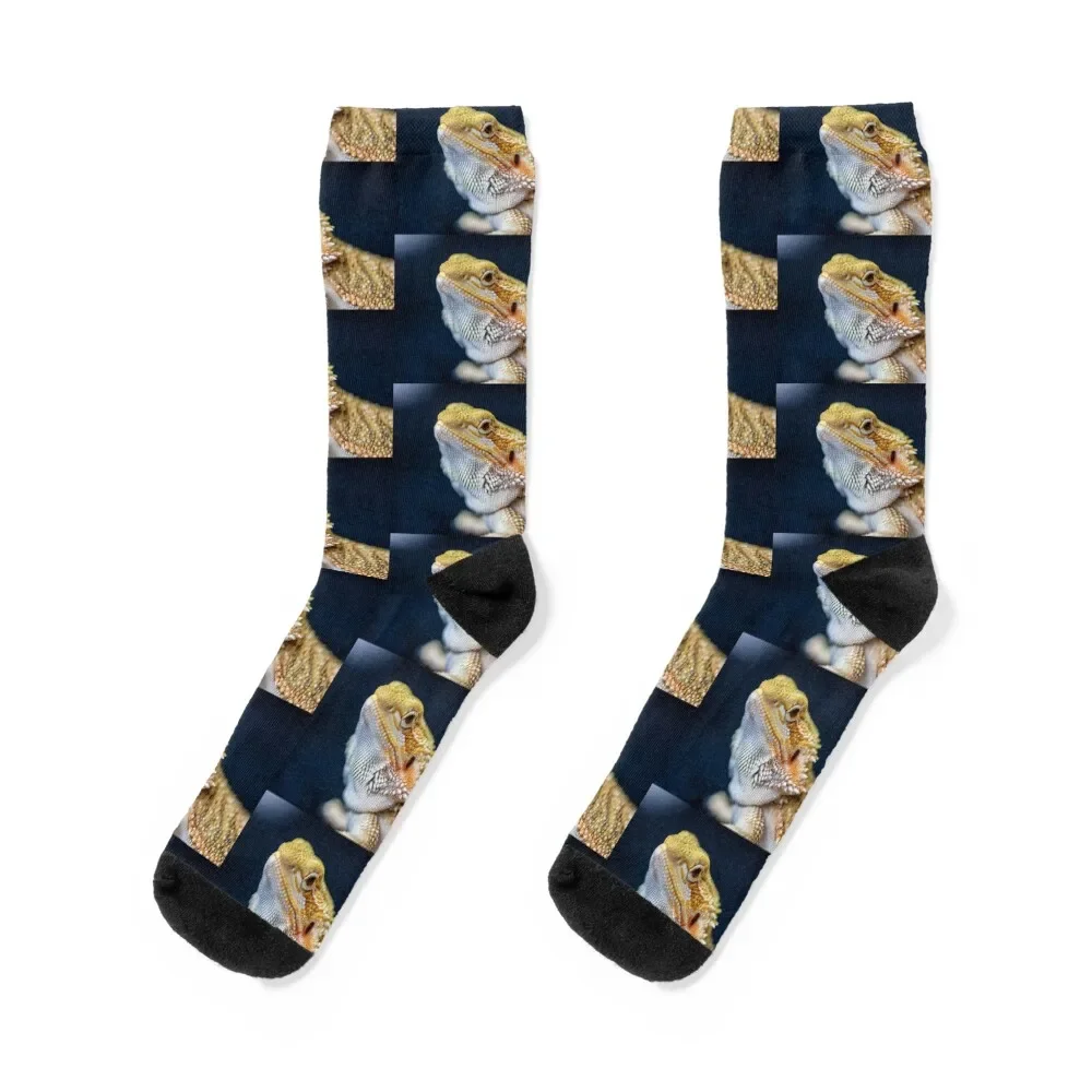 Bearded Dragon Face Socks cycling gym professional running Ladies Socks Men's