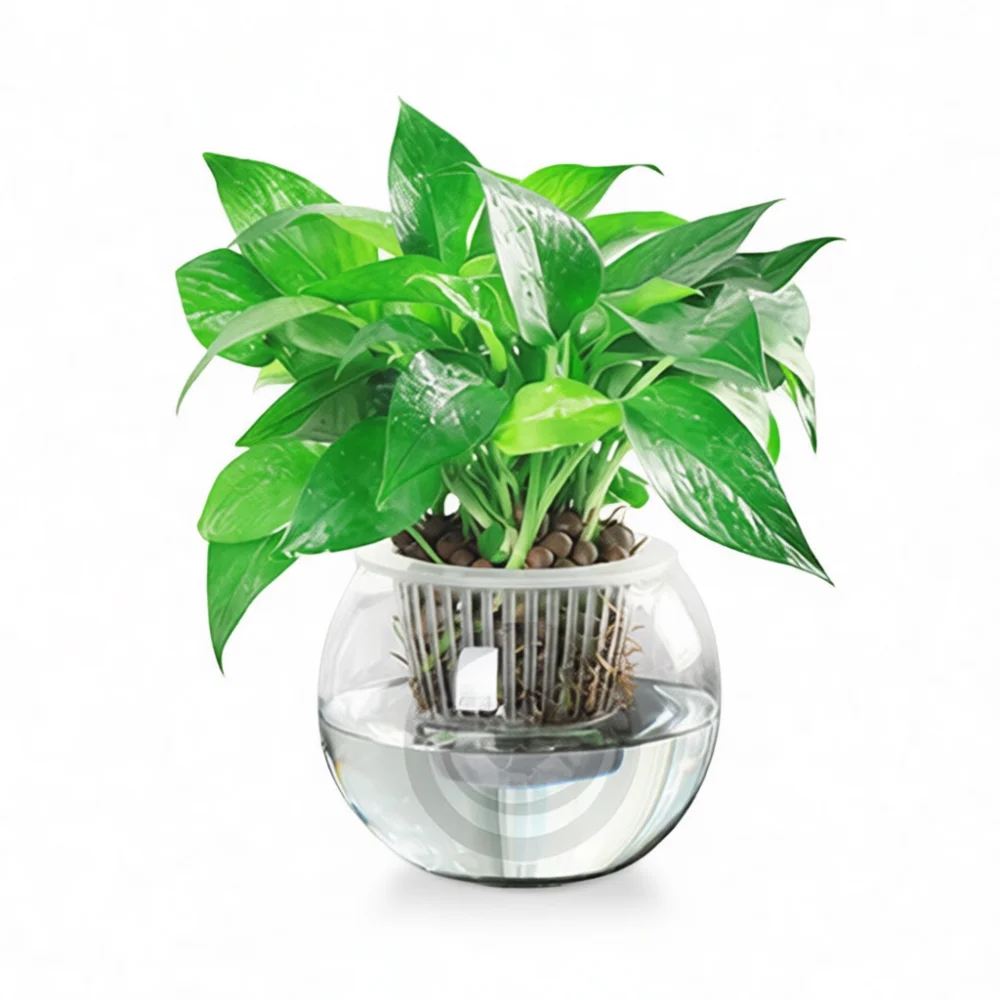Simple Style Clear Plastic Fish Tank Mini Round Desktop Aquarium Bowl Portable Environment For Goldfish Or Turtle
