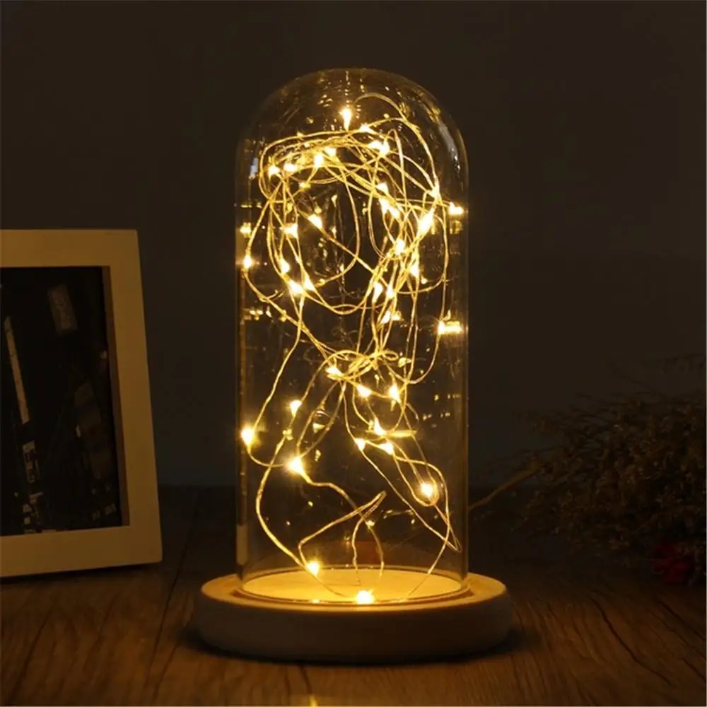 Fairy Lights Plants Glass Vase Transparent Bottle Jar Flower Storage box Glass cloche Dust Cover Wooden base