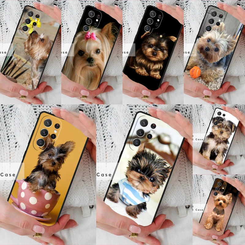 Yorkshire Terrier Yorkie Dog Pet Animal Phone Cover Case for Samsung Galaxy S26 Ultra S20 FE Note 10 S24 S23 S21 S25 Plus S22