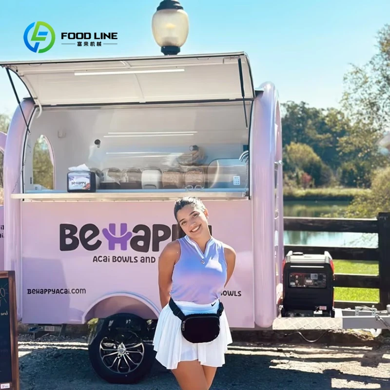 

Customized Mini Street Mobile Gelato Coffee Cart Small Hot Dog Pizza Snack Fast Food Truck Trailer for Sale in USA