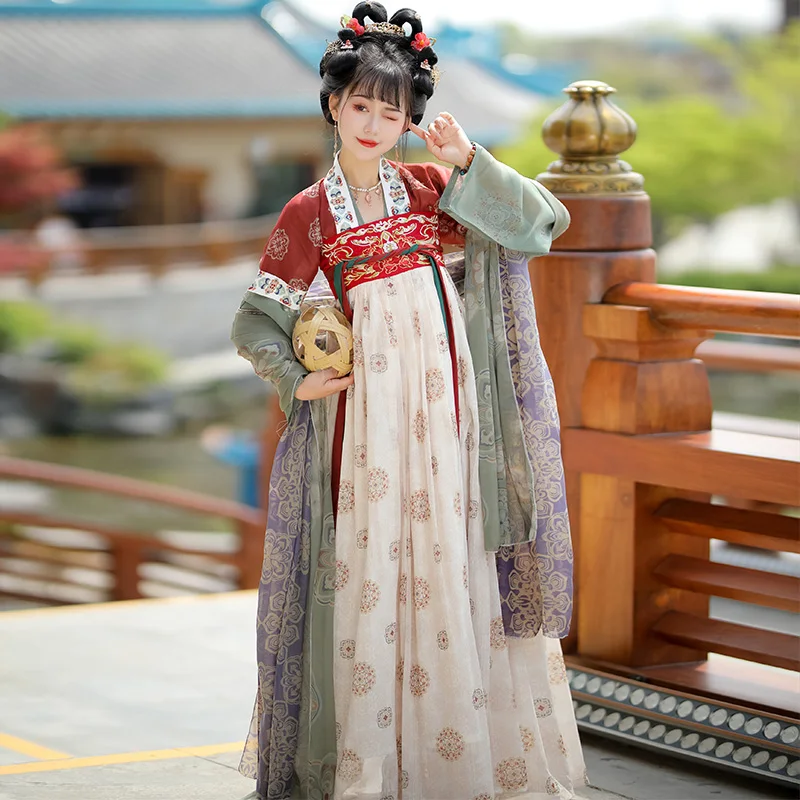 Tang Hanfu Women's Chiffon Long Dress Color Matching Floral Embroidery Exquisite Retro Half Sleeve Chinese Style Ancient Spring