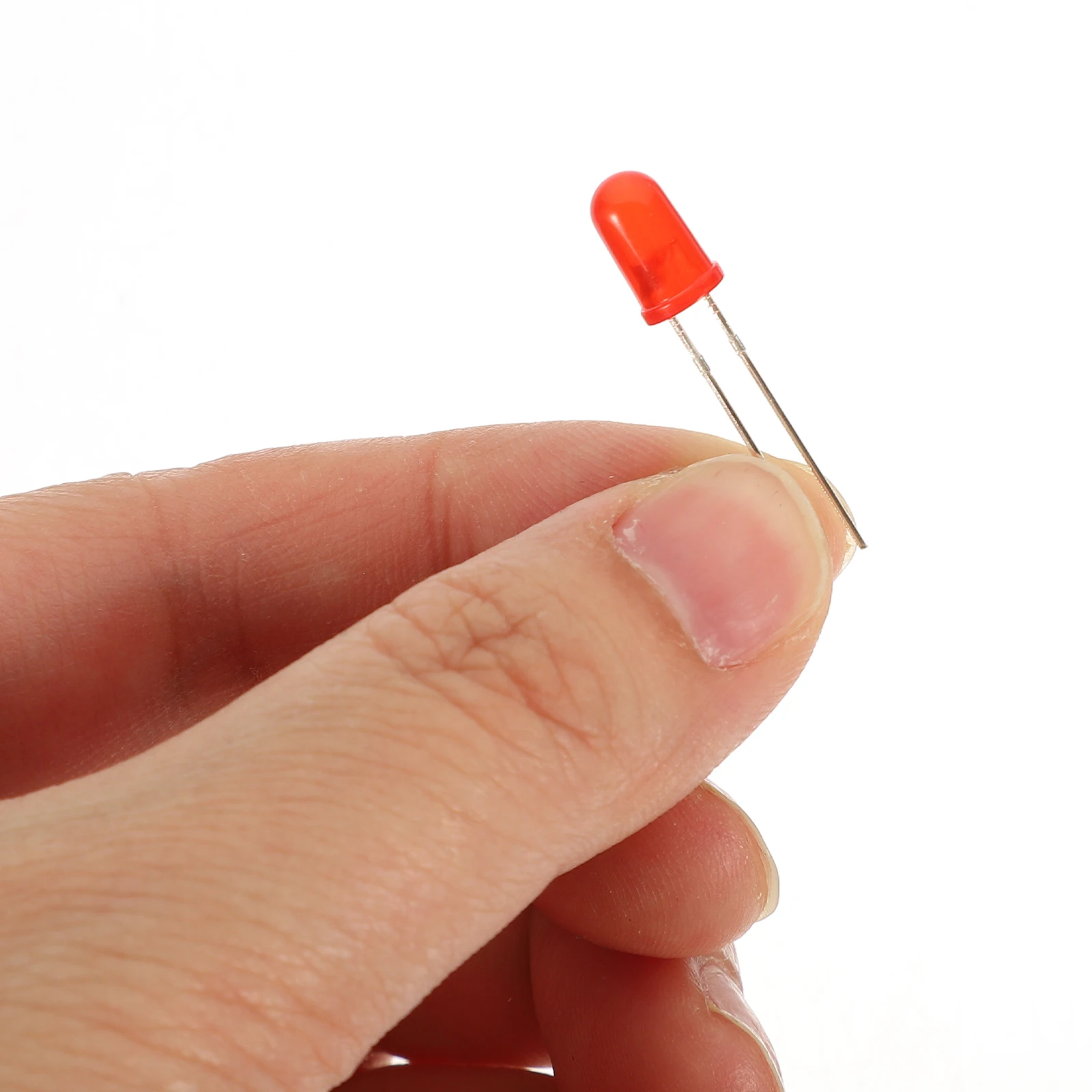 

Fruit Science Project Kit Scientific Experiment Potato Experiments Metal Kits