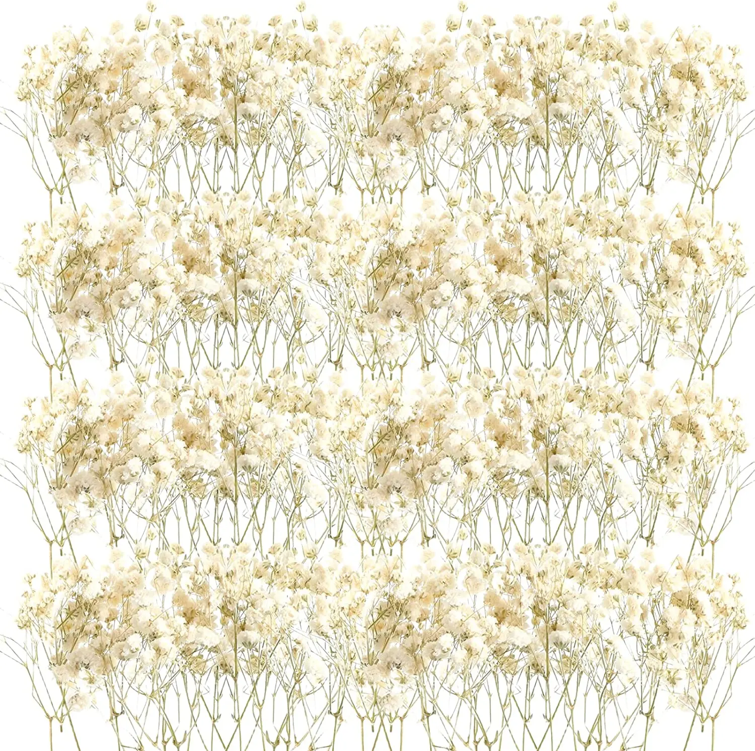 

50pcs Mini Dried Baby Breath Flower Gypsophila Ivory Natural Flowers for Vase Wedding Home Office Party Garden Card Making Decor