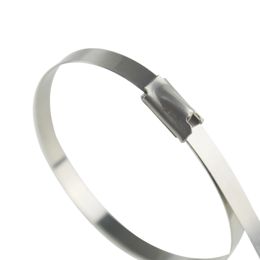 LZONE - 200mm x 12 " / 300mm x 12" cabezal de acero inoxidable envoltura de escape auto bloqueo Cable cierre correas 100 piezas JR-SLS02/03