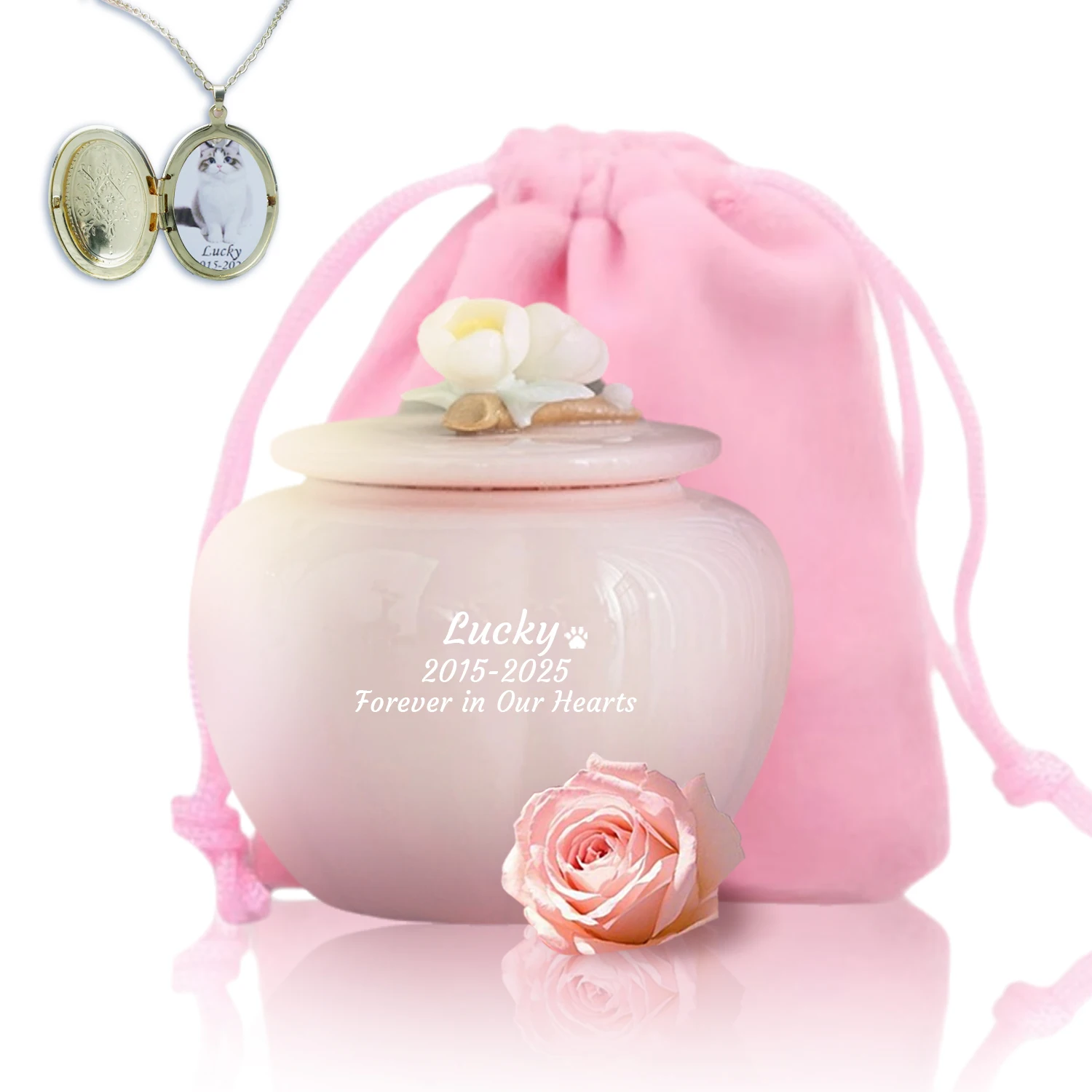 

Multipurpose Pet Cremation Urn for Various Sized Pets for Ashes Burial or Home Display-Funeral Supplies