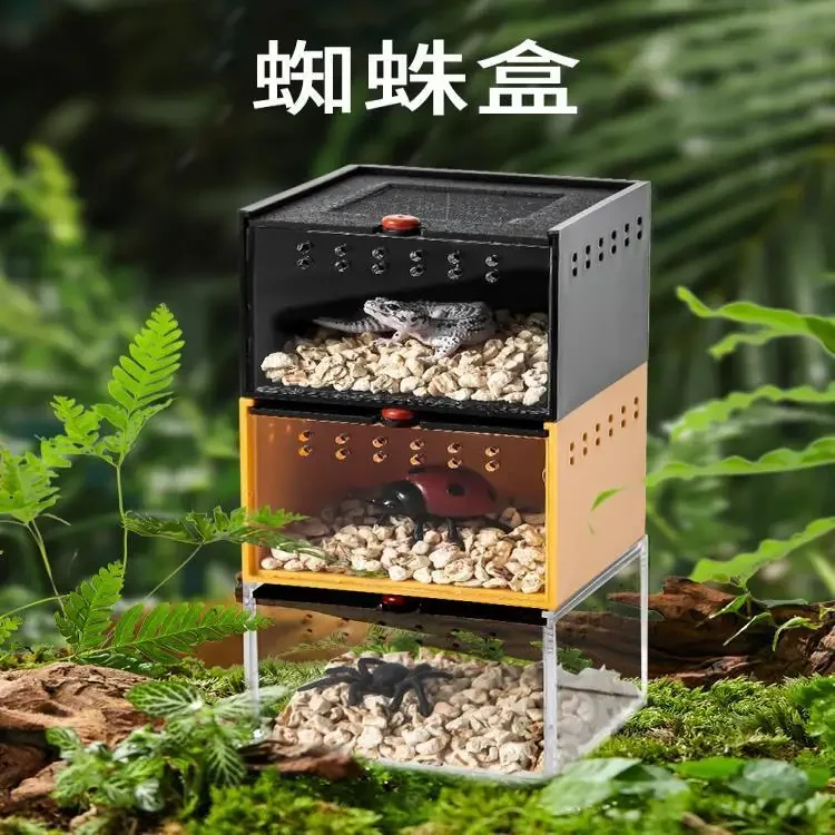 Feeding Box Mini Reptile  Small Reptile Pet Scorpion Japanese Rhinoceros Beetle Beetle Professional Black Acrylic Box