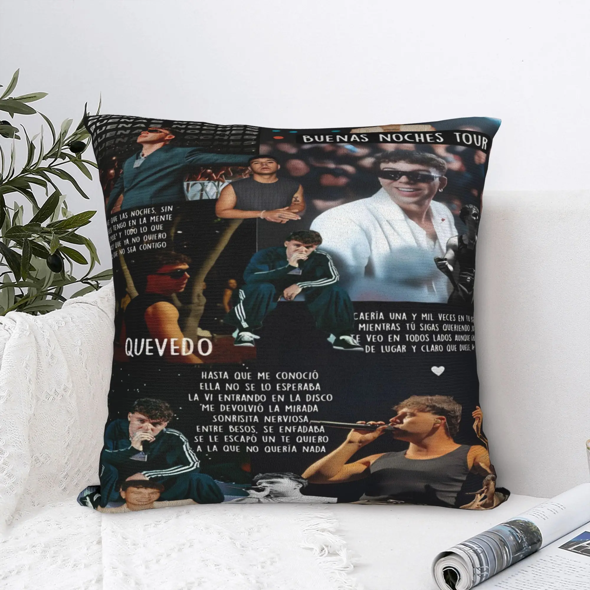 QUEVEDO EL BAIFO 2026 Pillowcases Product Printing Cushion Cover  Pillow Covers Chair Decoration Zipper Multi Size