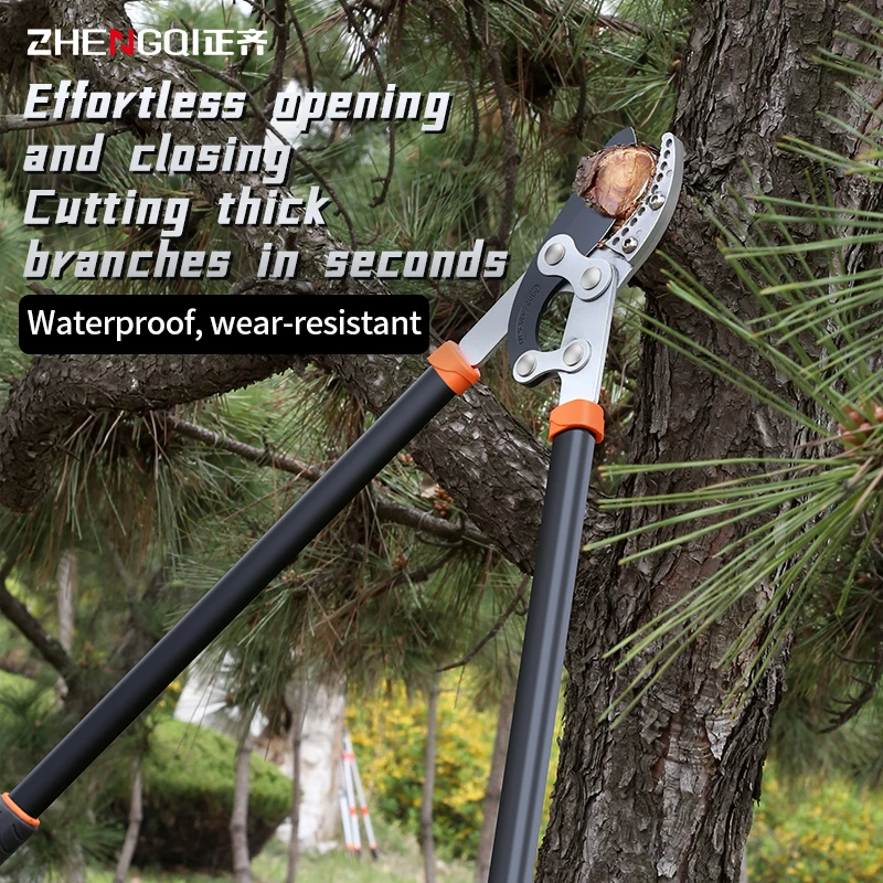 Zheng Qi Garden Bra… - image