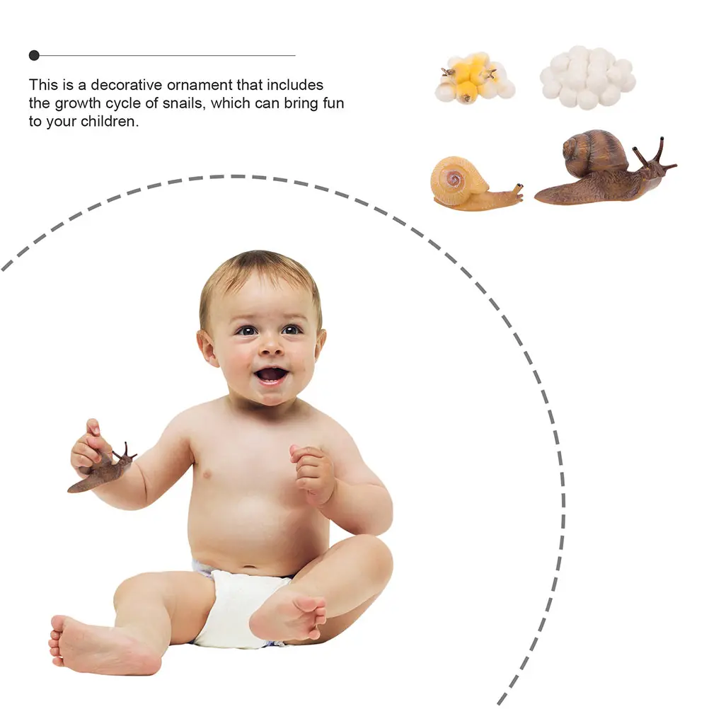 

Snail Growth Cycle Ornament Life Decor Ornaments Toy Kit Statue Figurines Kids Toys