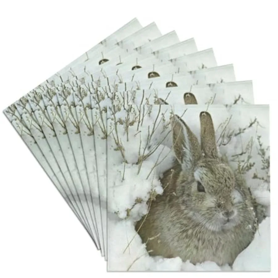 

CST_34742_4 Snow Bunny-Ceramic Tile Coasters Set of 8