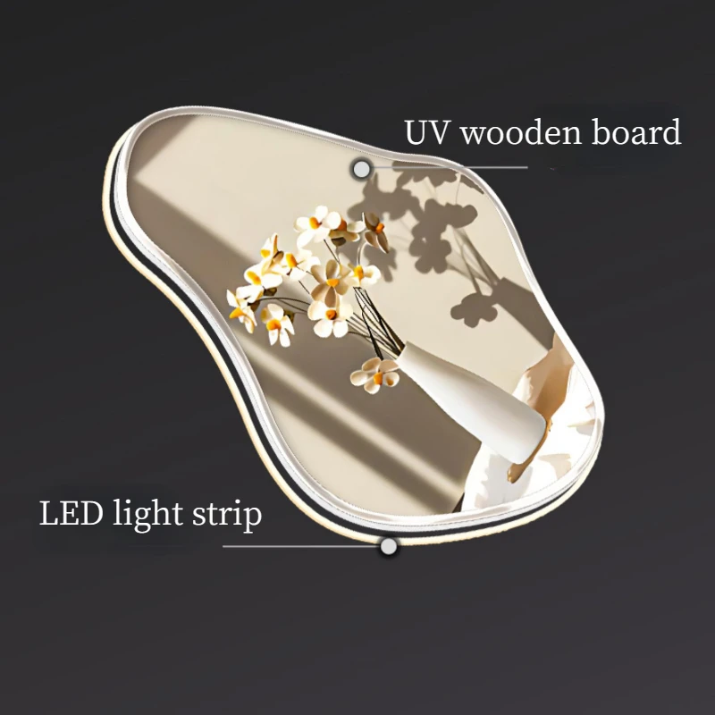 Sofa Background Wall Lamp Minimalist Indoor Corridor LED Lighting Fixtures Nordic Remote Control Hanging Picture Lamps with Plug