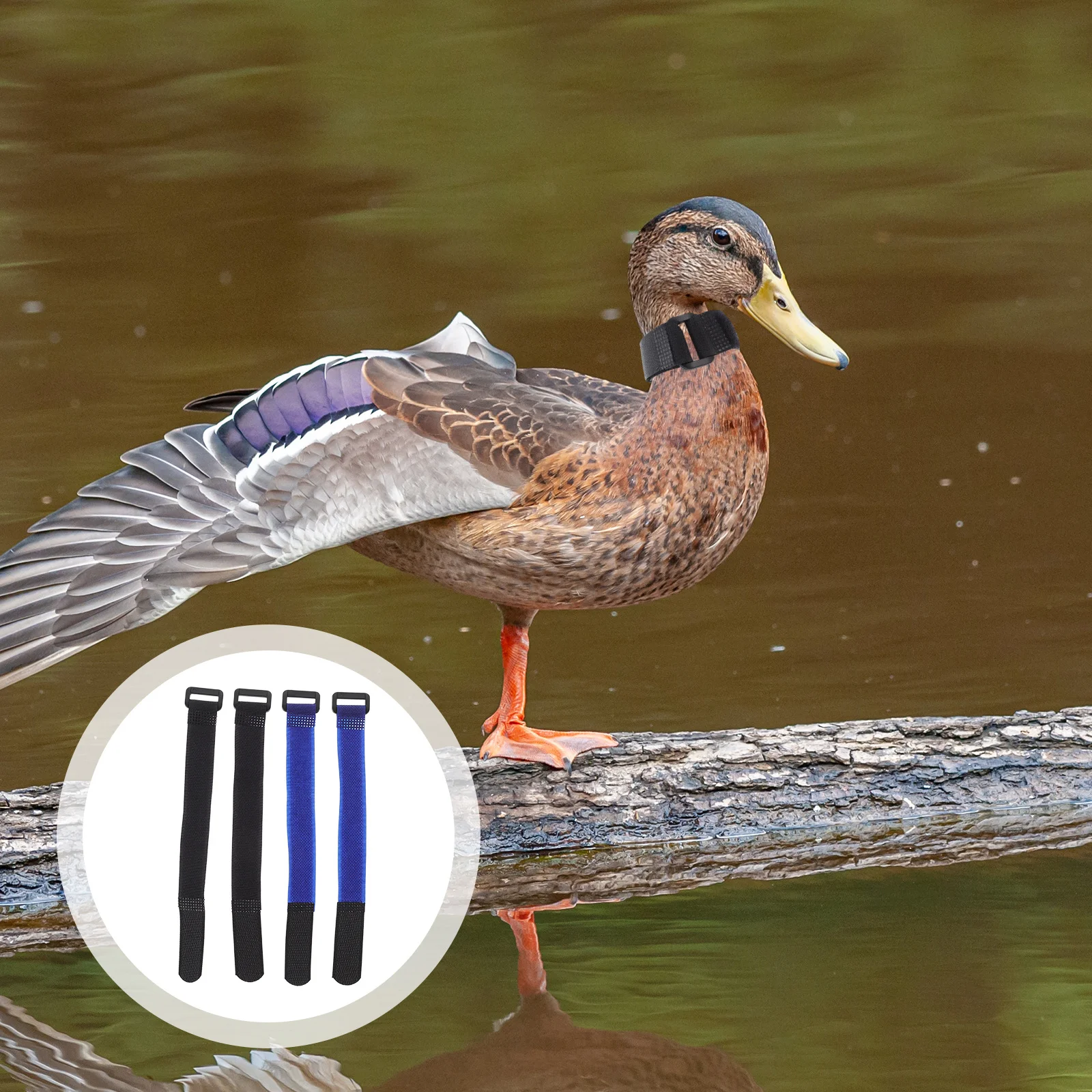 

4Pcs Anti-Crowing Rooster Collars Noise Free Nylon Adjustable Rooster Neck Belts Safe Poultry Supply Crow-Proof Collars