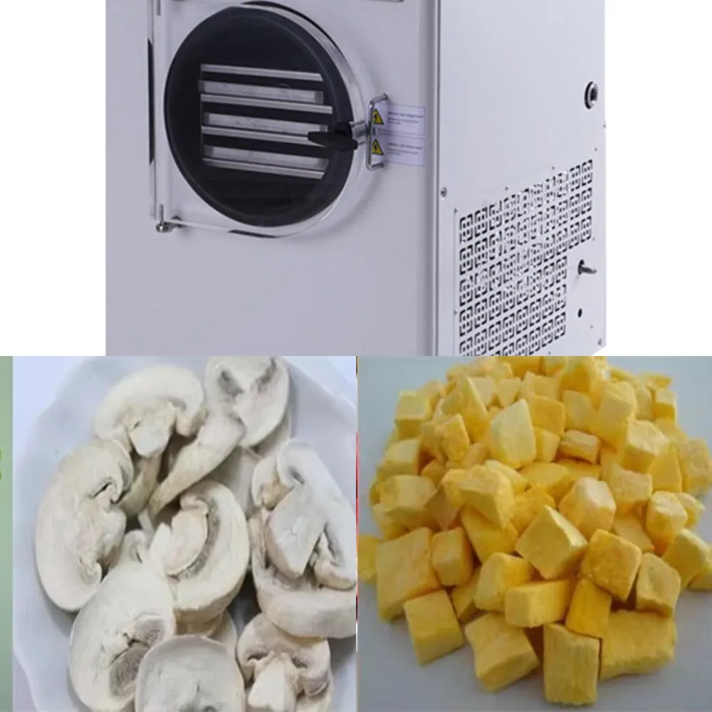 Freeze drying machine, vacuum commercial candy, seafood, vegetable freeze drying machine
