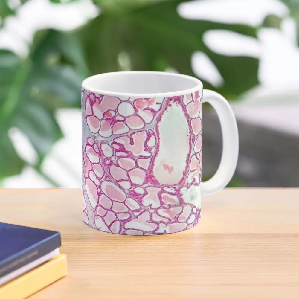 Mammary Gland Coffee Mug Tea Cup Espresso Cup