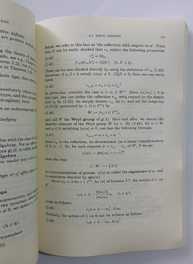 Álgebras de mentira dimensionales infinitas
