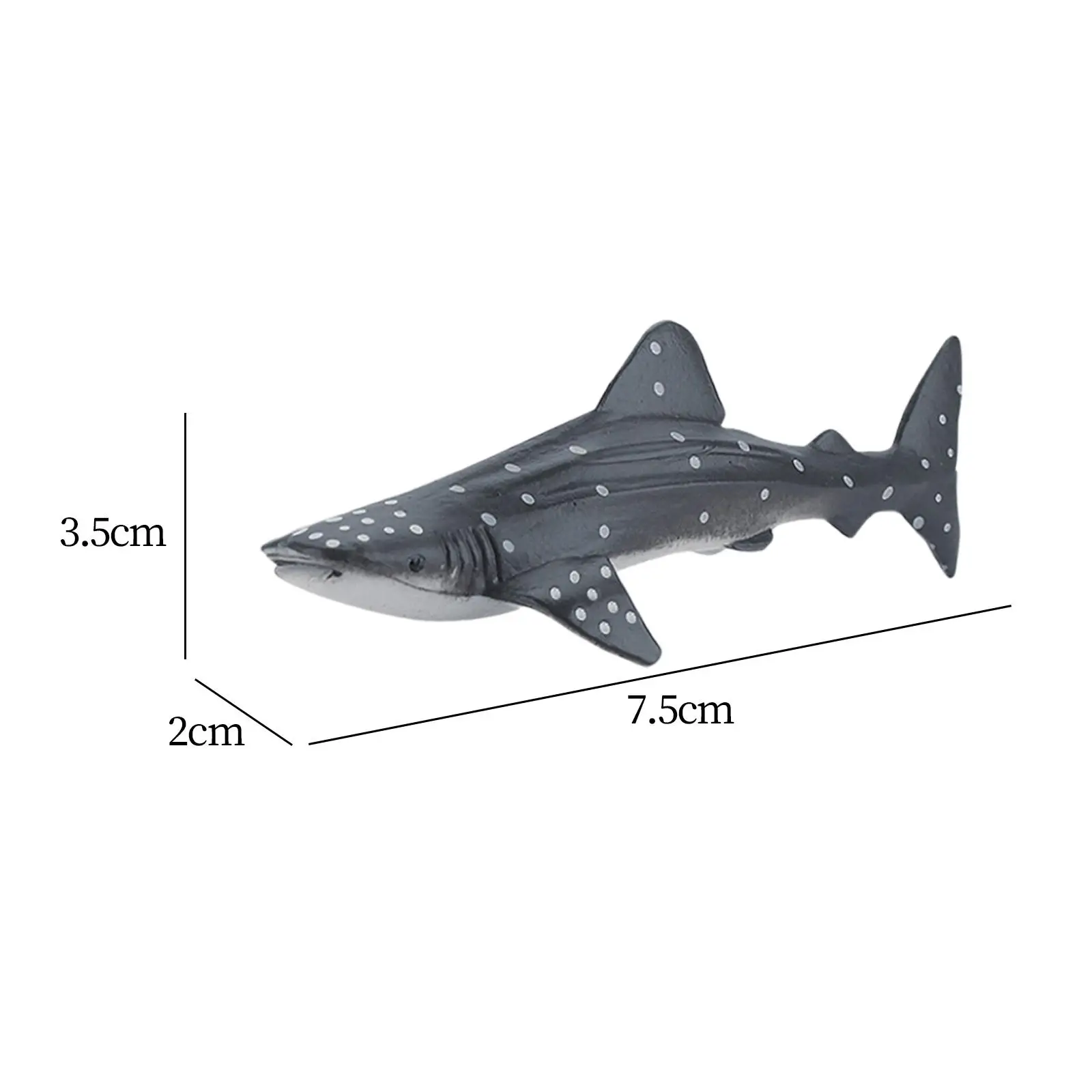 6x الحوت تمثال واقعية مفصلة عمل الشكل الحرف البلاستيكية نموذج ديكور المنزل ألعاب تعليمية مبكرة للفتيات الفتيان سن 3 + أطفال