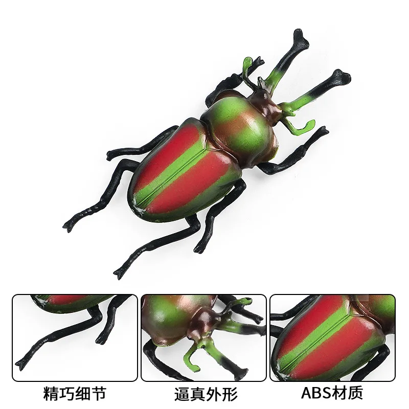 children's Montessori teaching aids simulation solid animal model Australian rainbow stag beetle stag beetle insect toy