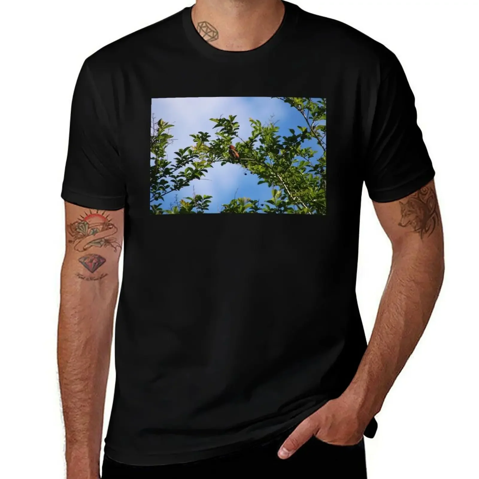 

Archway to birds T-Shirt Personalized t-shirt custom t-shirts shirts graphic tees mens clothes