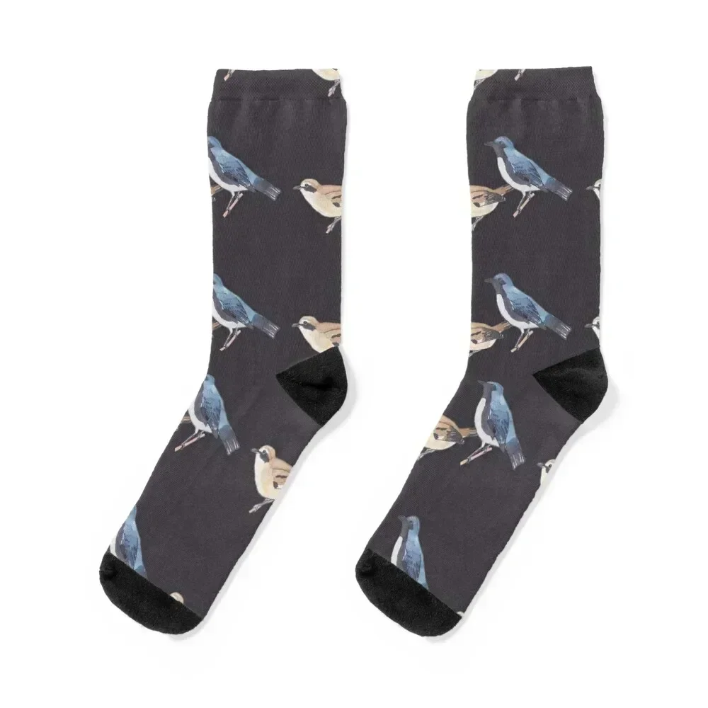 

Black-throated Blue Warbler bird watercolor art Socks hiphop men cotton high quality new year Man Socks Women's
