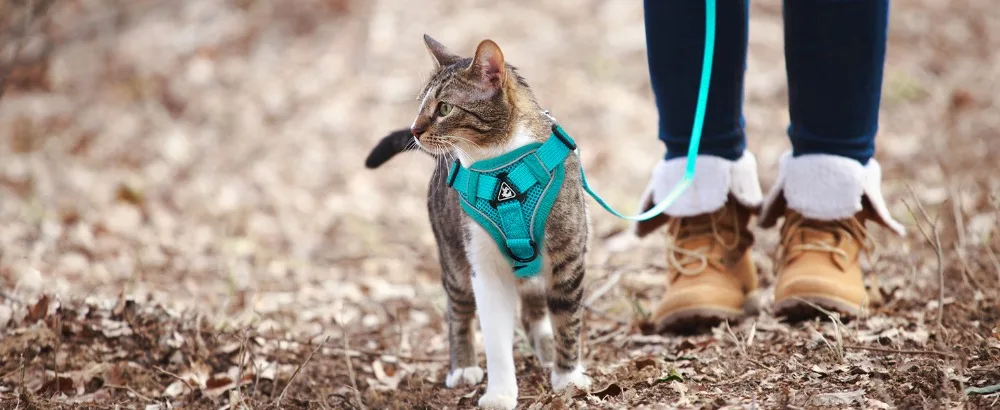 Reflective Cat Harness And Leash Set Adjustable Vest For Cats_voghion.com