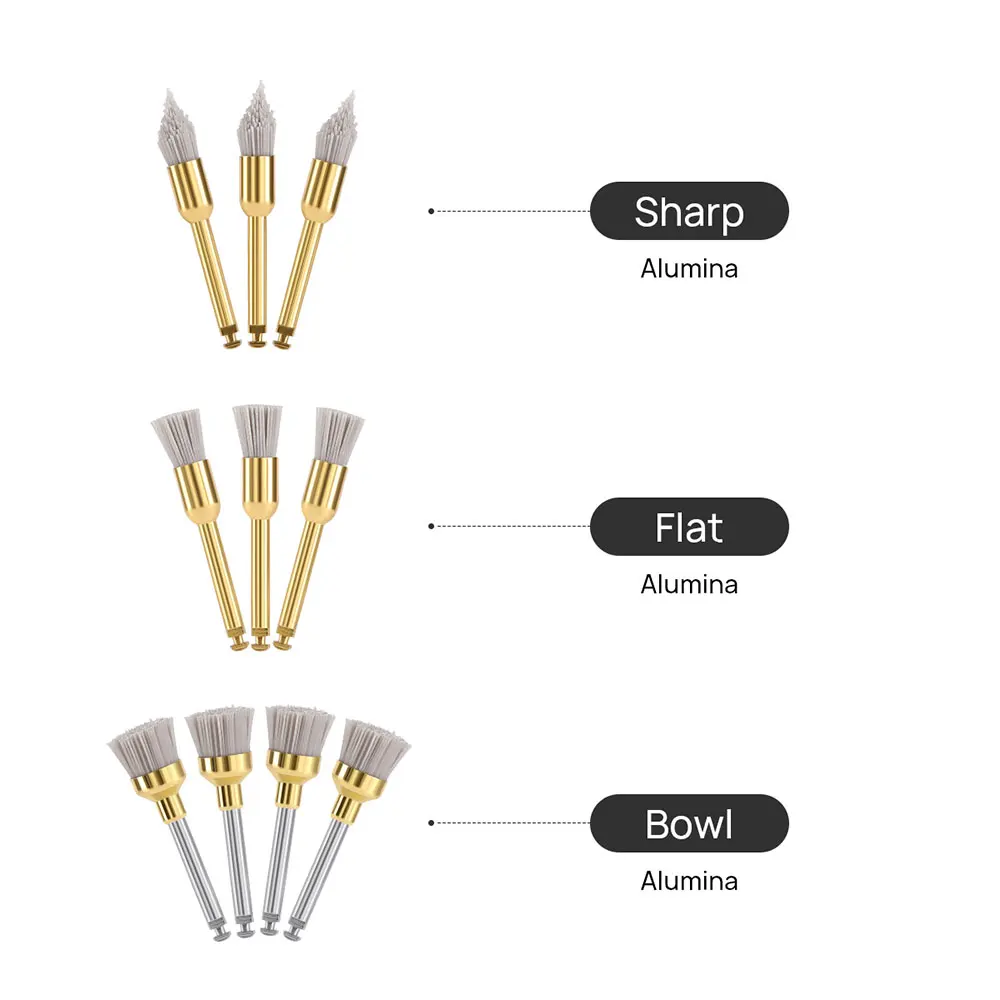 10PCS AZDENT Dental Polieren Pinsel Aluminium Oxid Siliziumkarbid Polieren Prophy Pinsel Werkzeug für Contra Winkel Handstück – Detail 2