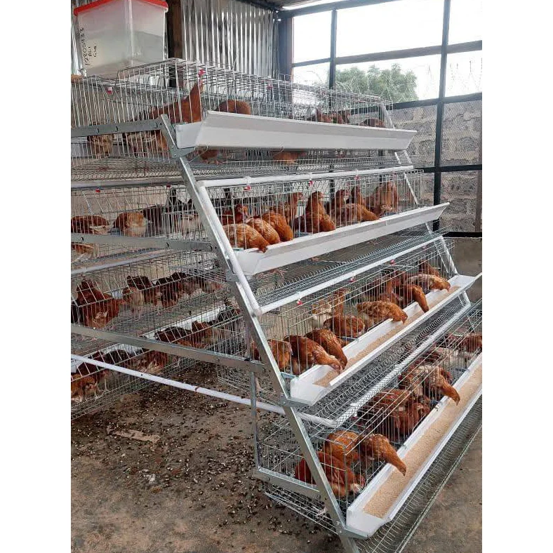 A Type Chicken Cage Cages for Laying Hens Chicken Cages for Layers Chicken Farm Equipment 3 Tier  4 Tier Heavy Duty for Chickens
