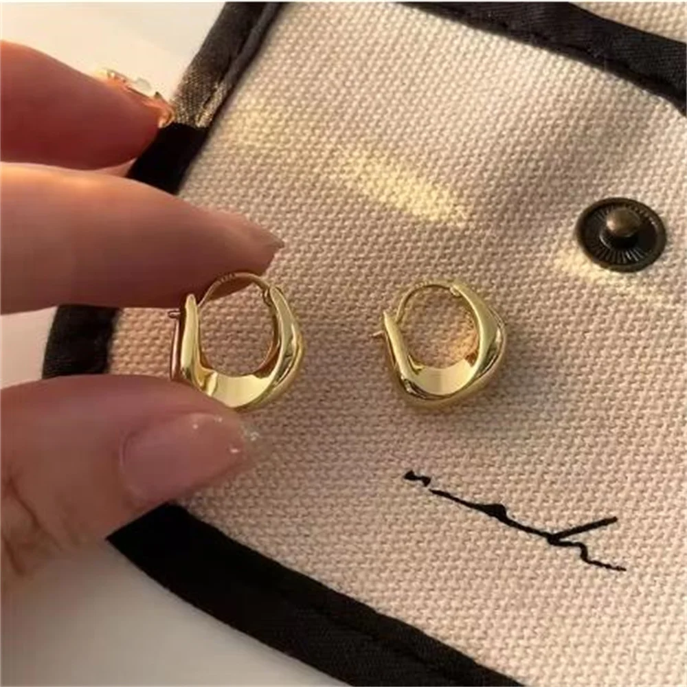 2024 Irregular Geometric Plain Hoop Earrings for Women Simple Glossy Earrings Versatile Earrings Earrings Wholesale