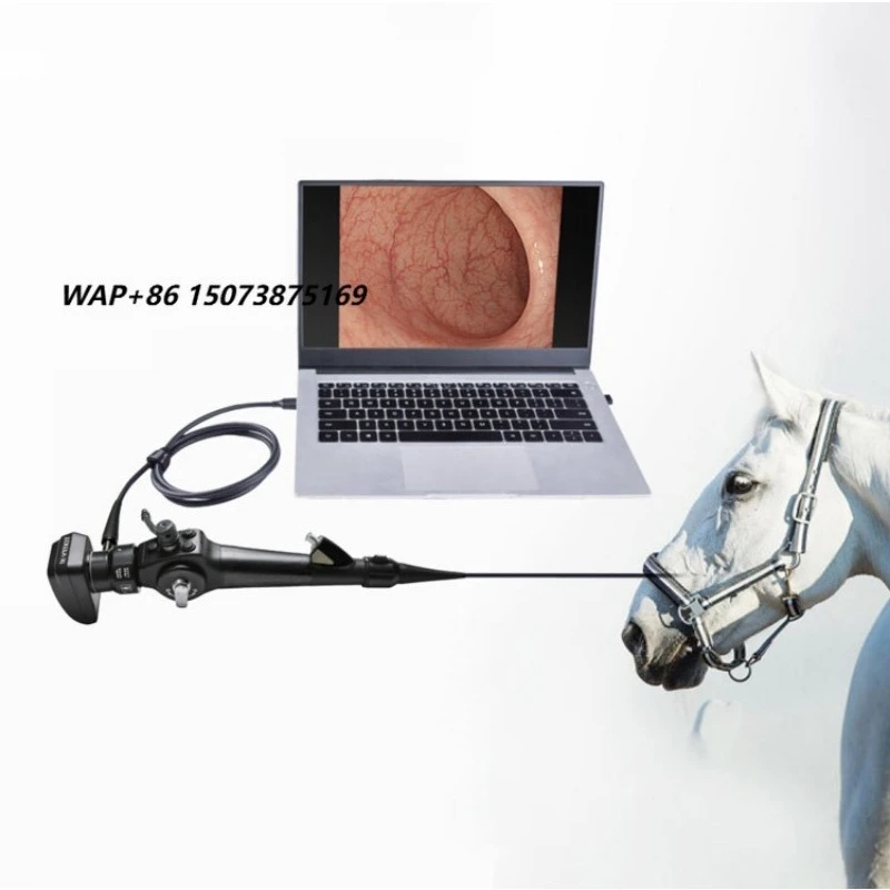 Portable Veterinary Endoscope USB Connected Laptop for Examination Endoscopy for Veterinary ENT Hospitals 1500mm working