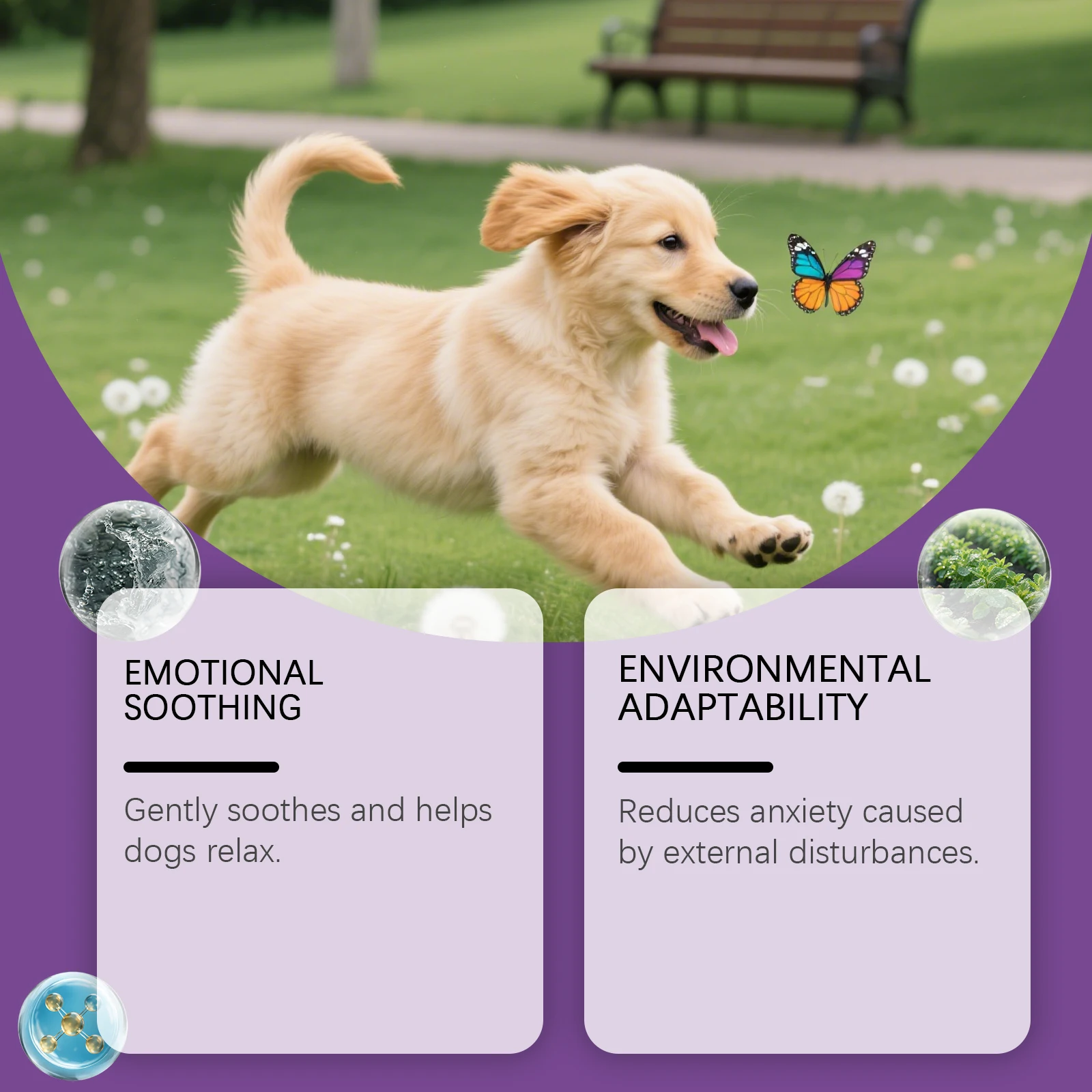 رذاذ مهدئ وعناية عاطفية للكلاب - يسهل الانفصال والقلق، ويحسن يتأرجح المزاج، وغير مهيج وغير حساس، ومناسب لجميع الأعمار